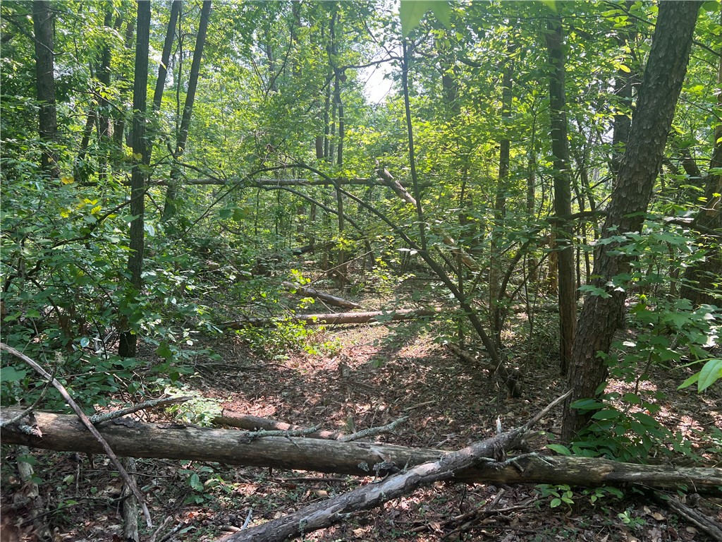00 Jess Crenshaw Drive, Salem, South Carolina image 15