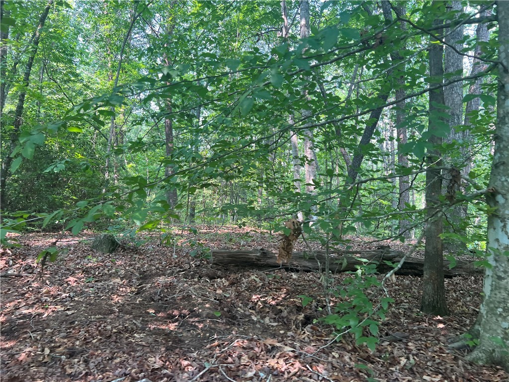 00 Jess Crenshaw Drive, Salem, South Carolina image 18