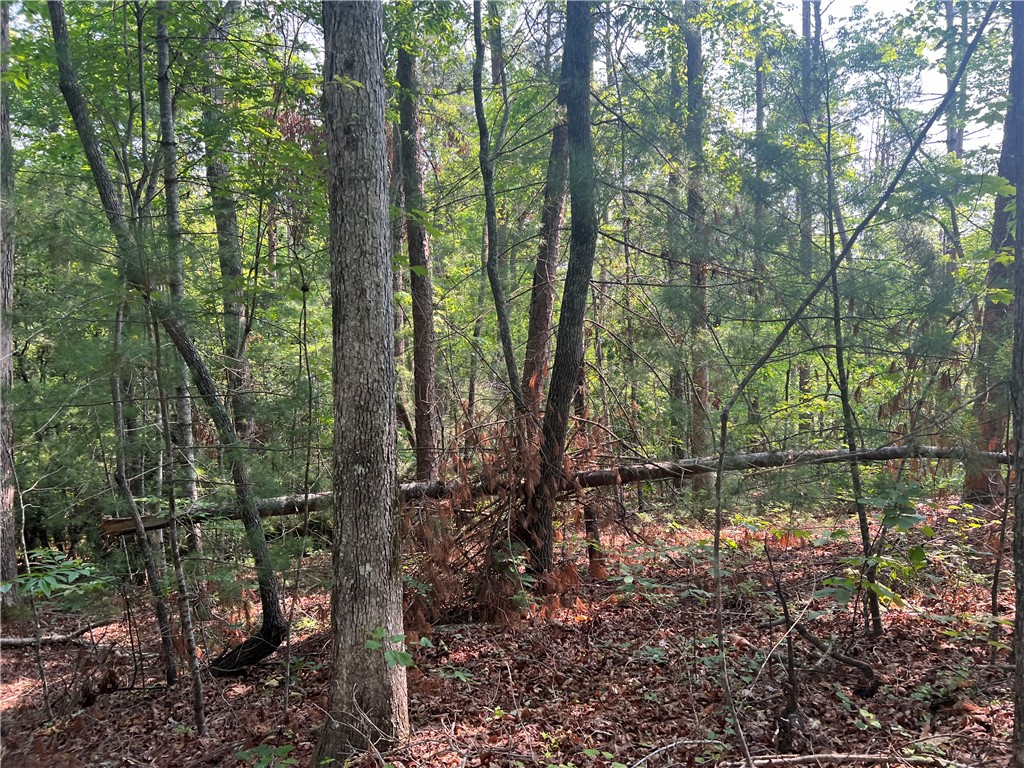 00 Jess Crenshaw Drive, Salem, South Carolina image 6