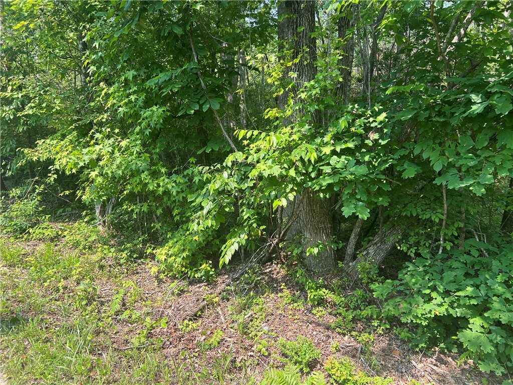 00 Jess Crenshaw Drive, Salem, South Carolina image 20