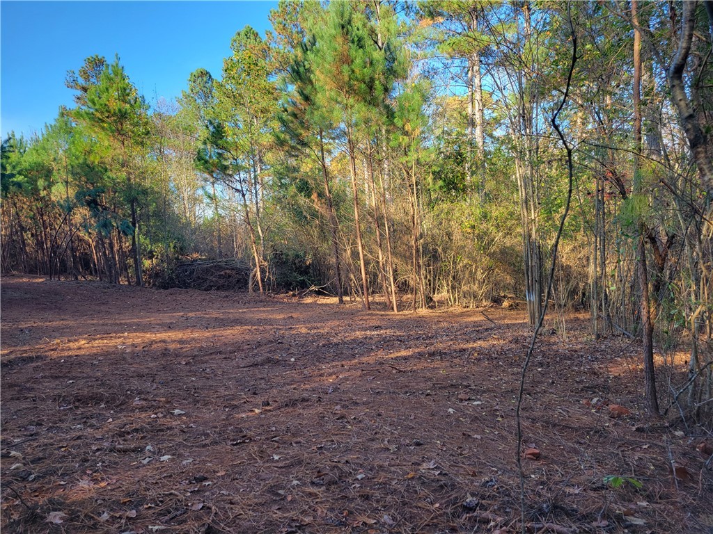 Lot 4 Old Flat Shoals Road, Walhalla, South Carolina image 16