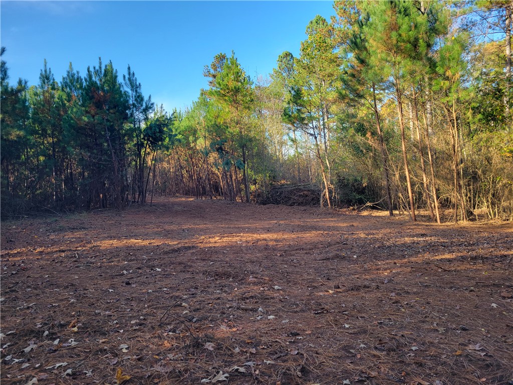 Lot 4 Old Flat Shoals Road, Walhalla, South Carolina image 15