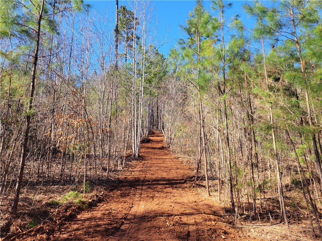 Lot 4 Old Flat Shoals Road, Walhalla, South Carolina image 24