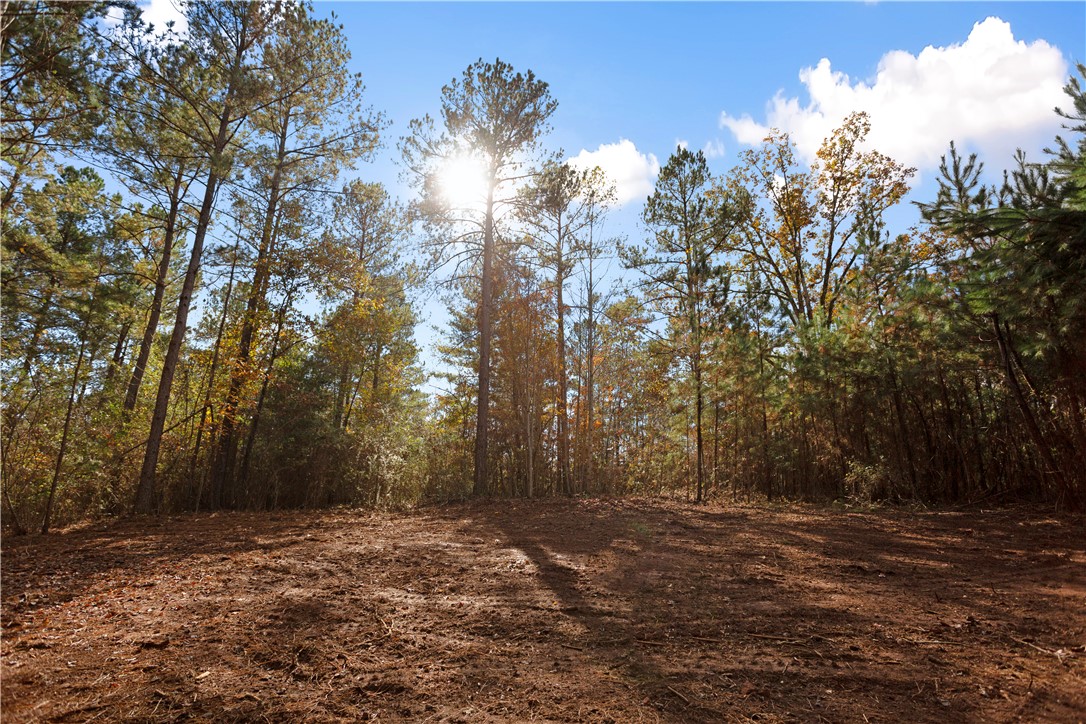 Lot 4 Old Flat Shoals Road, Walhalla, South Carolina image 8