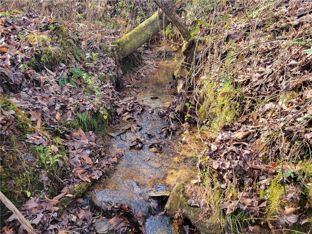 Lot 4 Old Flat Shoals Road, Walhalla, South Carolina image 19