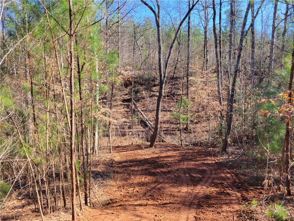 Lot 4 Old Flat Shoals Road, Walhalla, South Carolina image 23