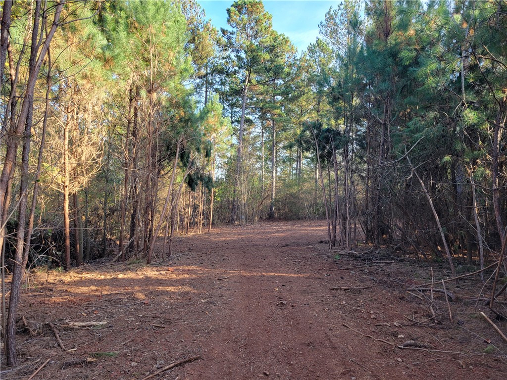 Lot 4 Old Flat Shoals Road, Walhalla, South Carolina image 13