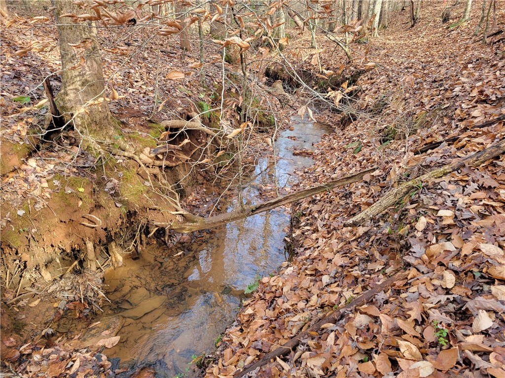 Lot 4 Old Flat Shoals Road, Walhalla, South Carolina image 21