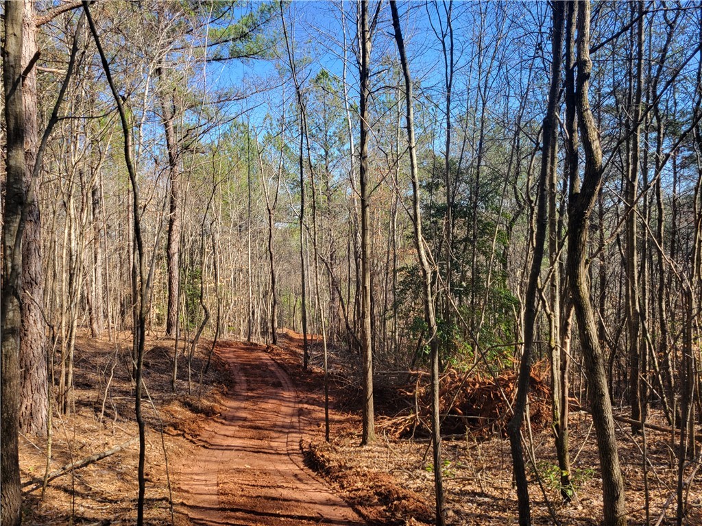 Lot 4 Old Flat Shoals Road, Walhalla, South Carolina image 25