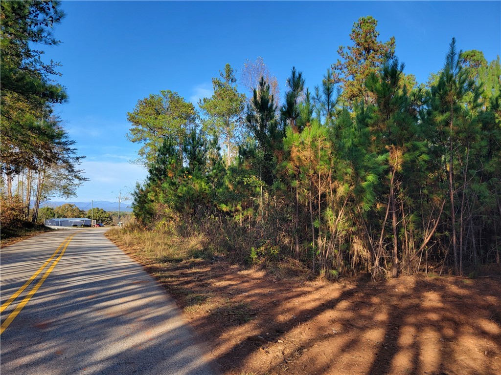 Lot 4 Old Flat Shoals Road, Walhalla, South Carolina image 11