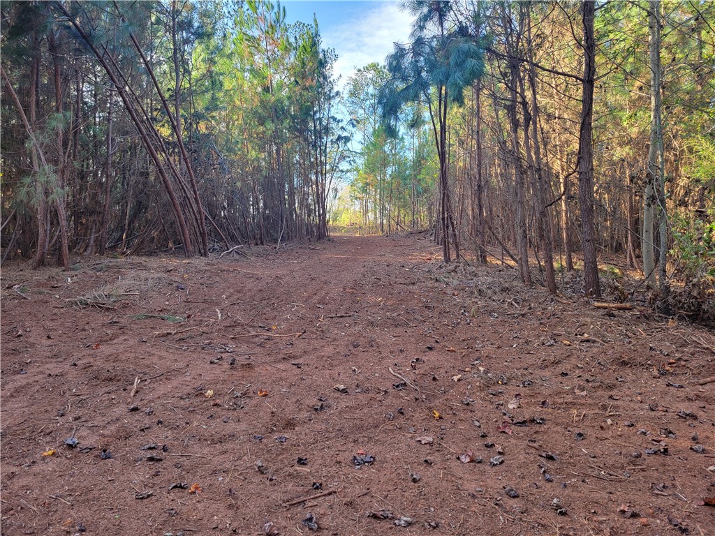Lot 4 Old Flat Shoals Road, Walhalla, South Carolina image 18
