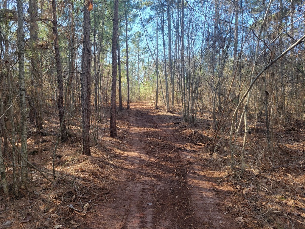 Lot 4 Old Flat Shoals Road, Walhalla, South Carolina image 27