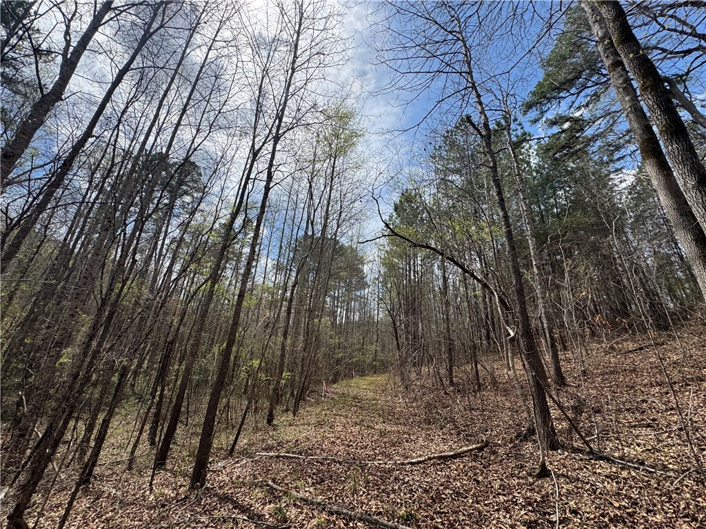 161 Chauga Shoals Drive, Westminster, South Carolina image 33