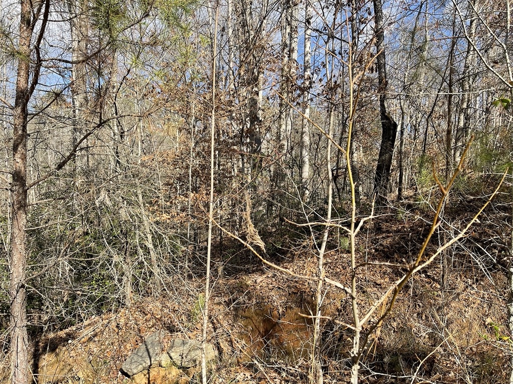 161 Chauga Shoals Drive, Westminster, South Carolina image 5