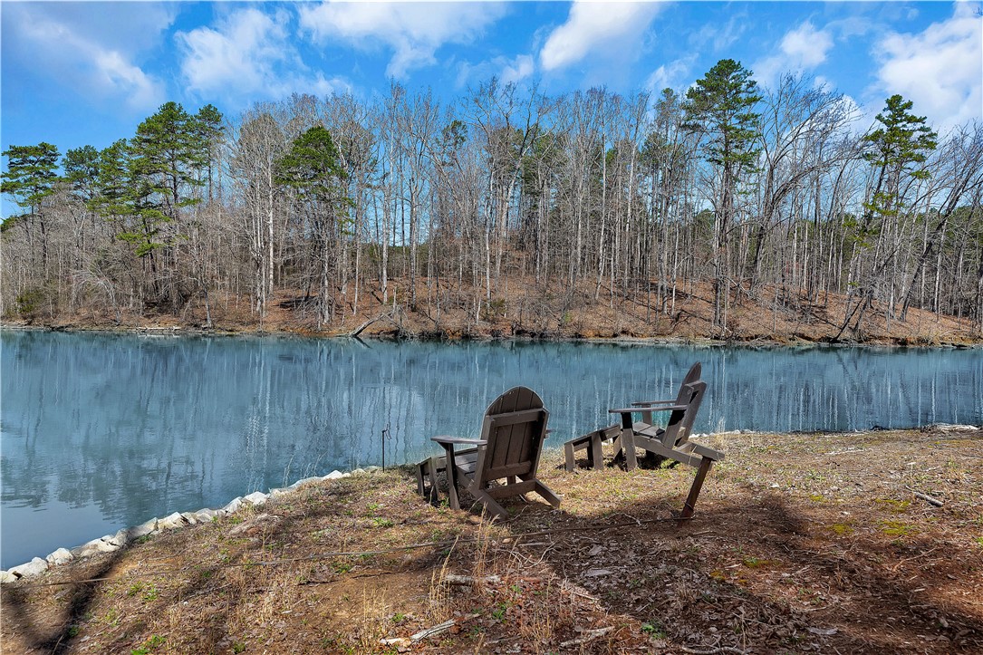 201 Hickory Hill Lane, Martin, Georgia image 42