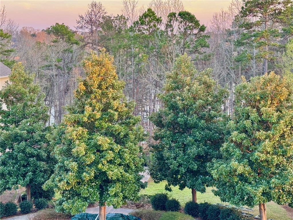 335 Lookover Drive, Anderson, South Carolina image 32