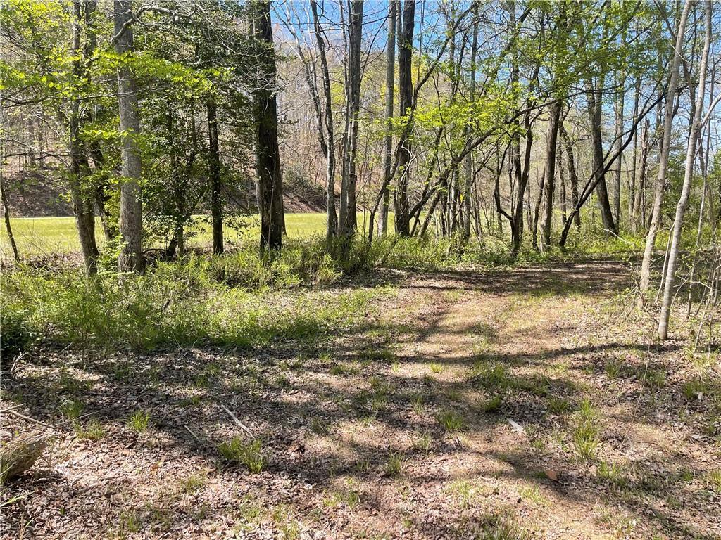 800 Rocky Fork Road, Westminster, South Carolina image 12