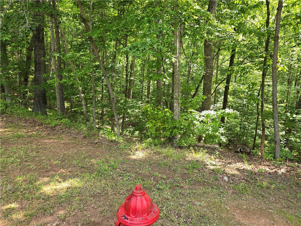 00 Laurel Drive, Westminster, South Carolina image 1