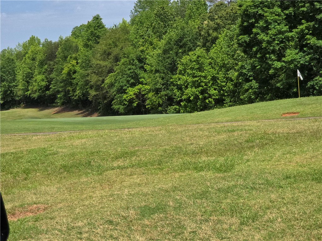 00 Laurel Drive, Westminster, South Carolina image 10