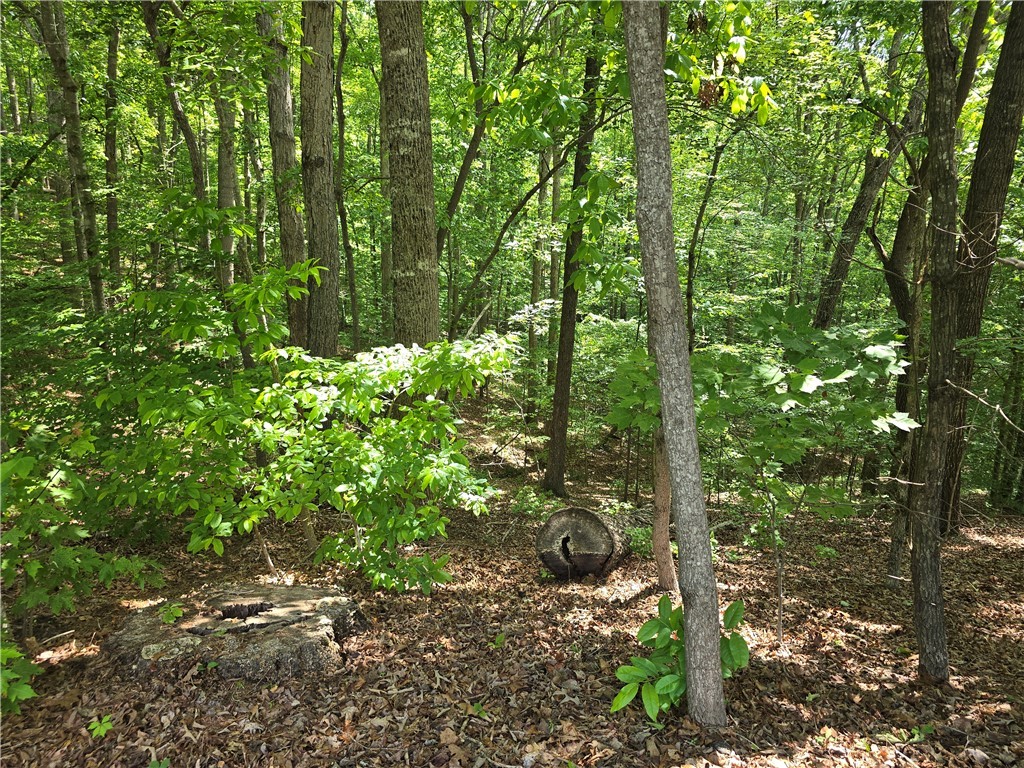 00 Laurel Drive, Westminster, South Carolina image 3