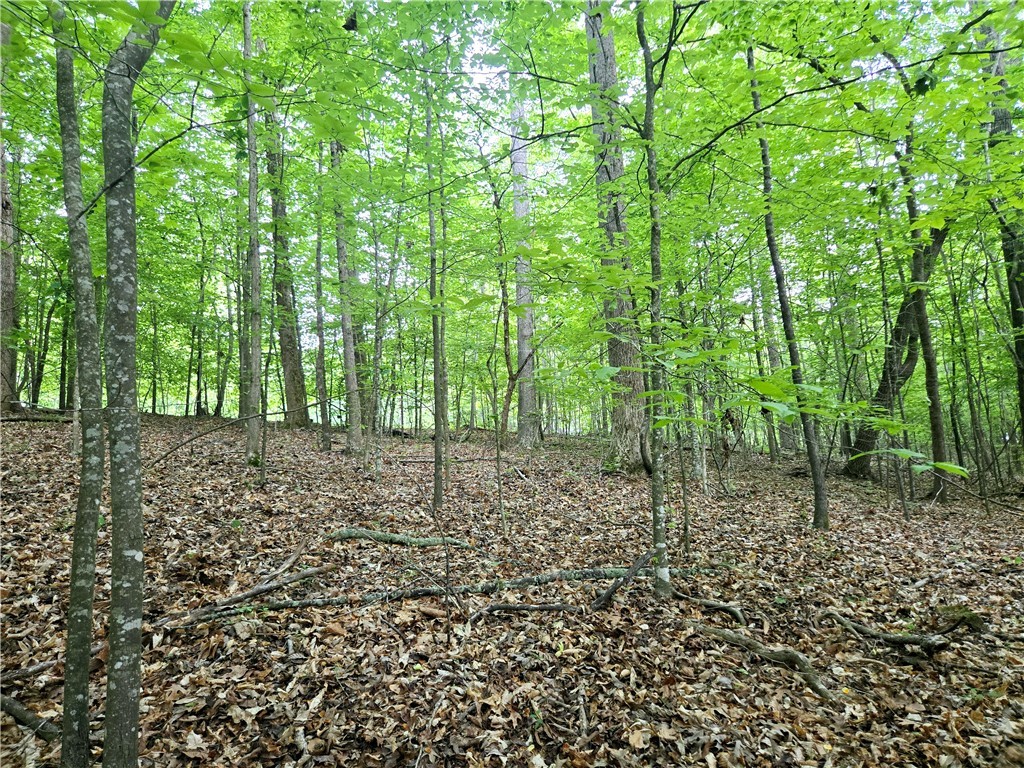 Lot #435 Point Road, Westminster, South Carolina image 13