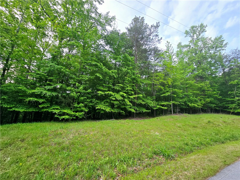 Lot #435 Point Road, Westminster, South Carolina image 4