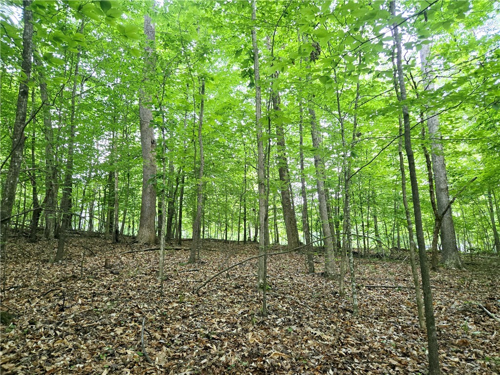 Lot #435 Point Road, Westminster, South Carolina image 10
