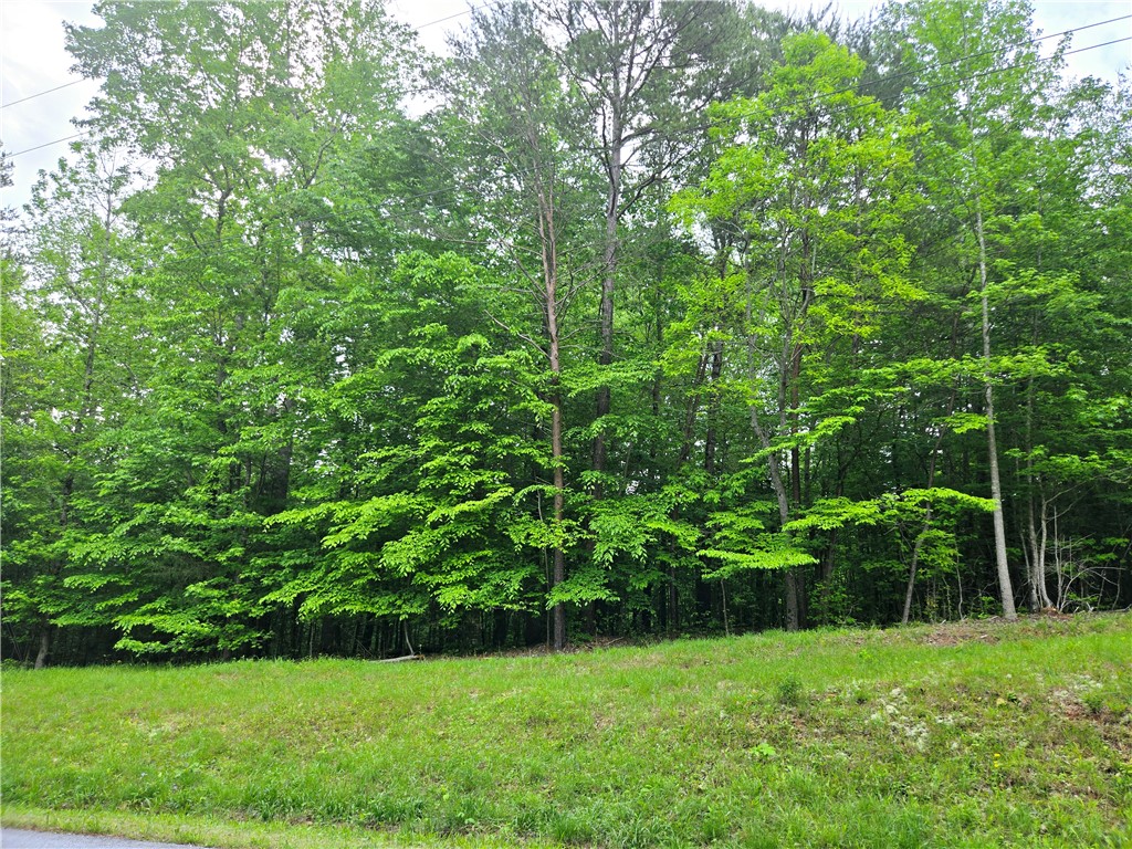 Lot #435 Point Road, Westminster, South Carolina image 16