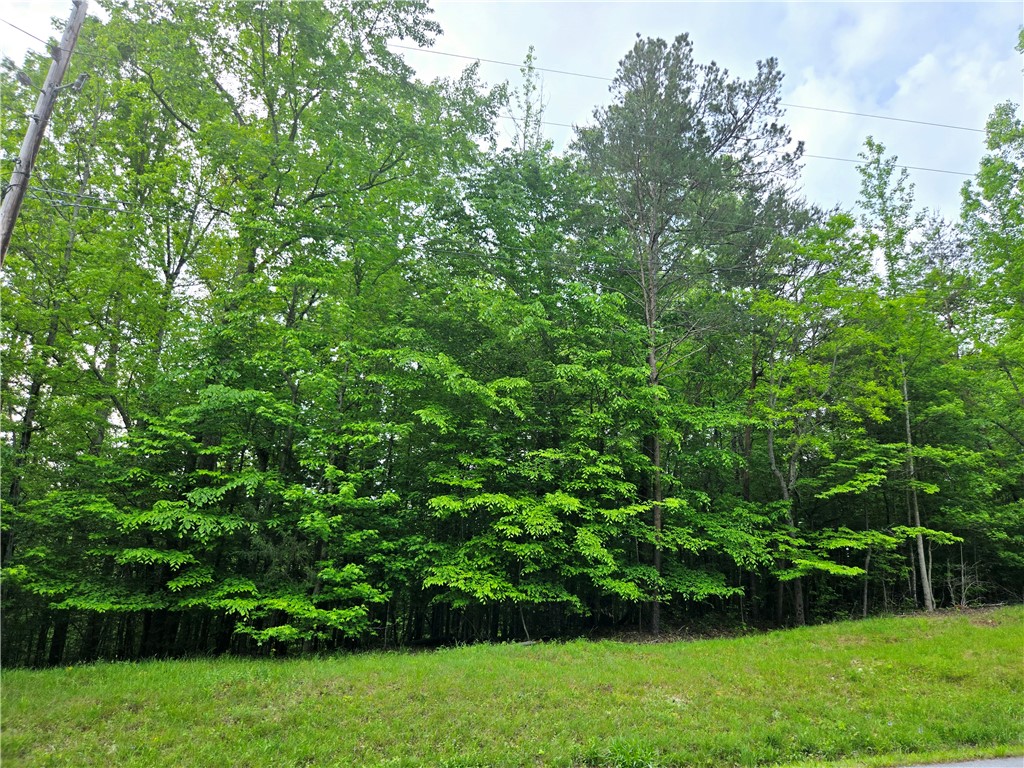 Lot #435 Point Road, Westminster, South Carolina image 3