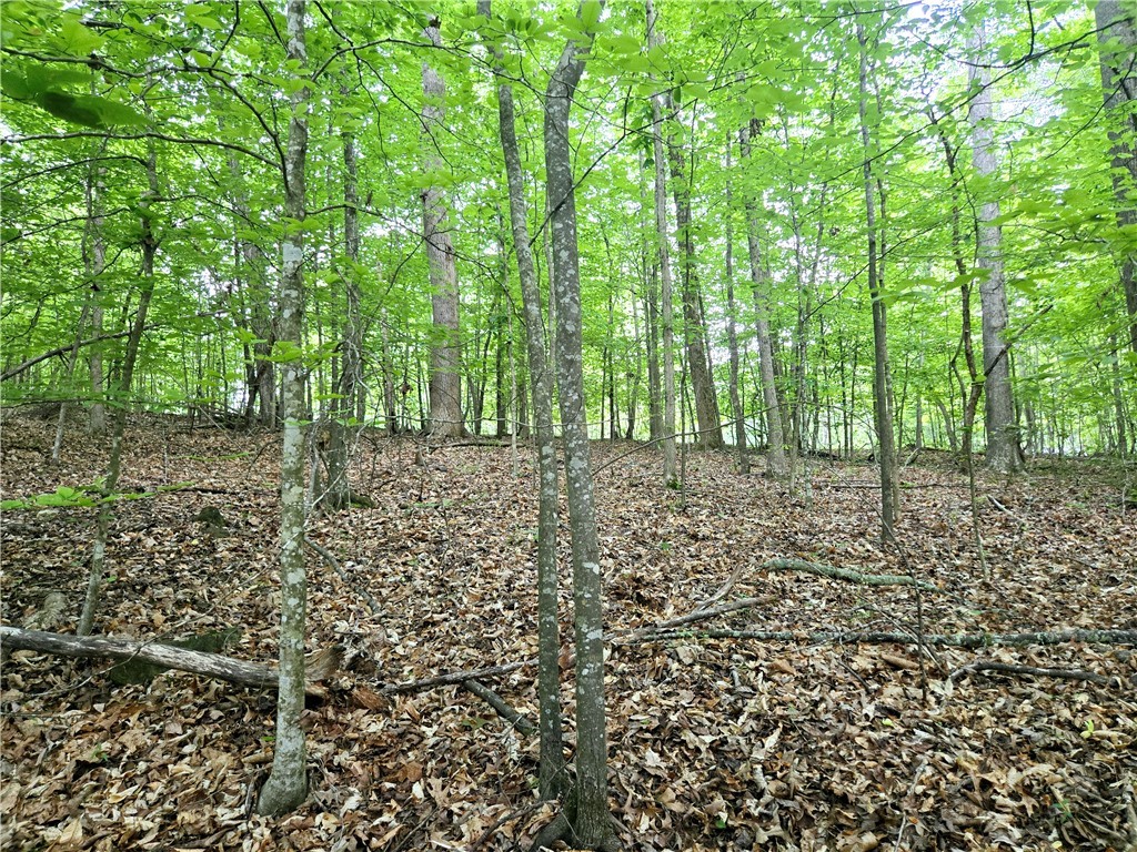 Lot #435 Point Road, Westminster, South Carolina image 12