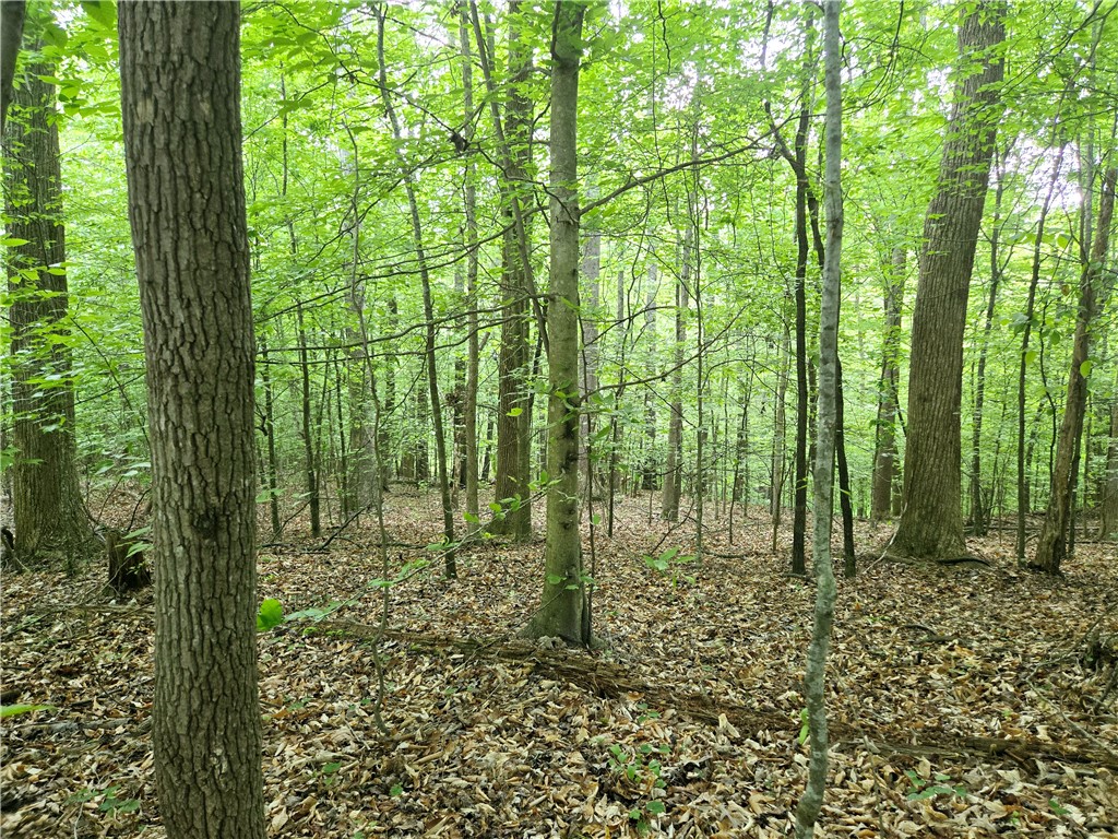 Lot #435 Point Road, Westminster, South Carolina image 7