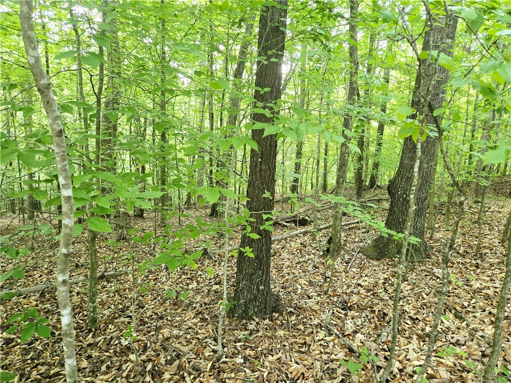 Lot #435 Point Road, Westminster, South Carolina image 5