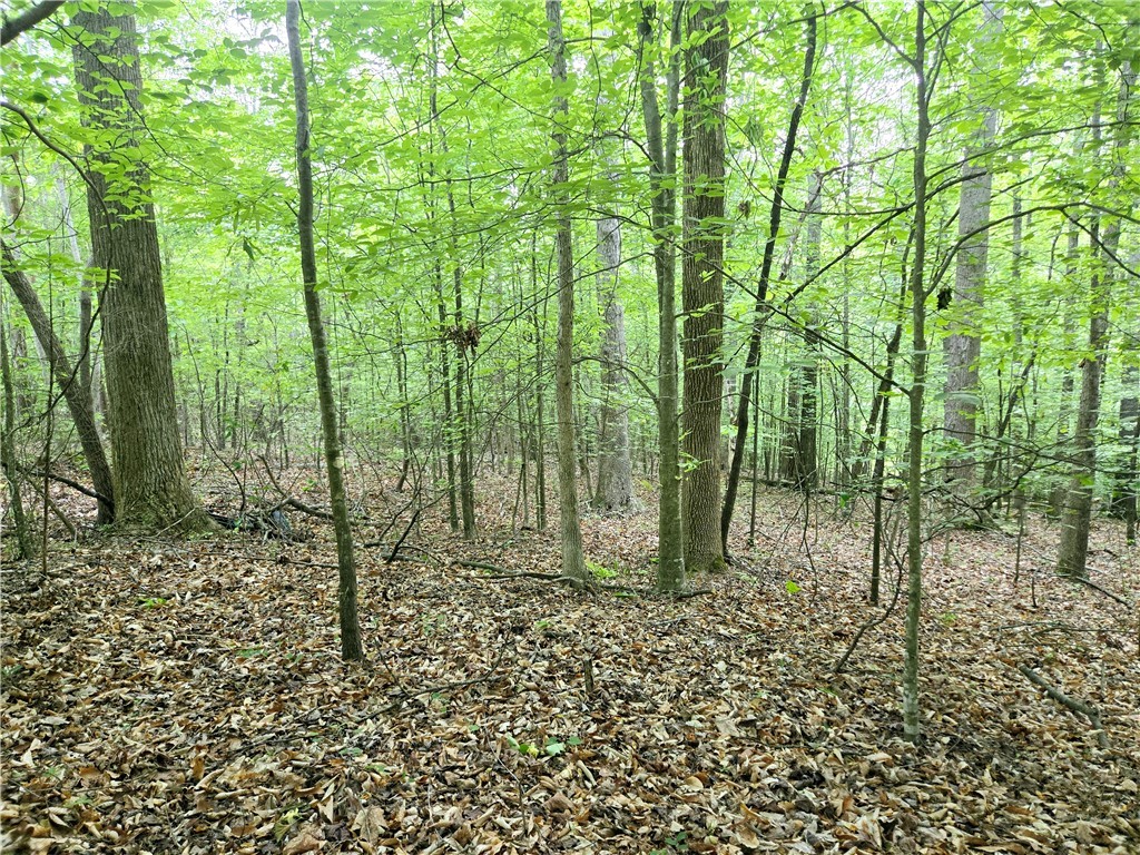 Lot #435 Point Road, Westminster, South Carolina image 9