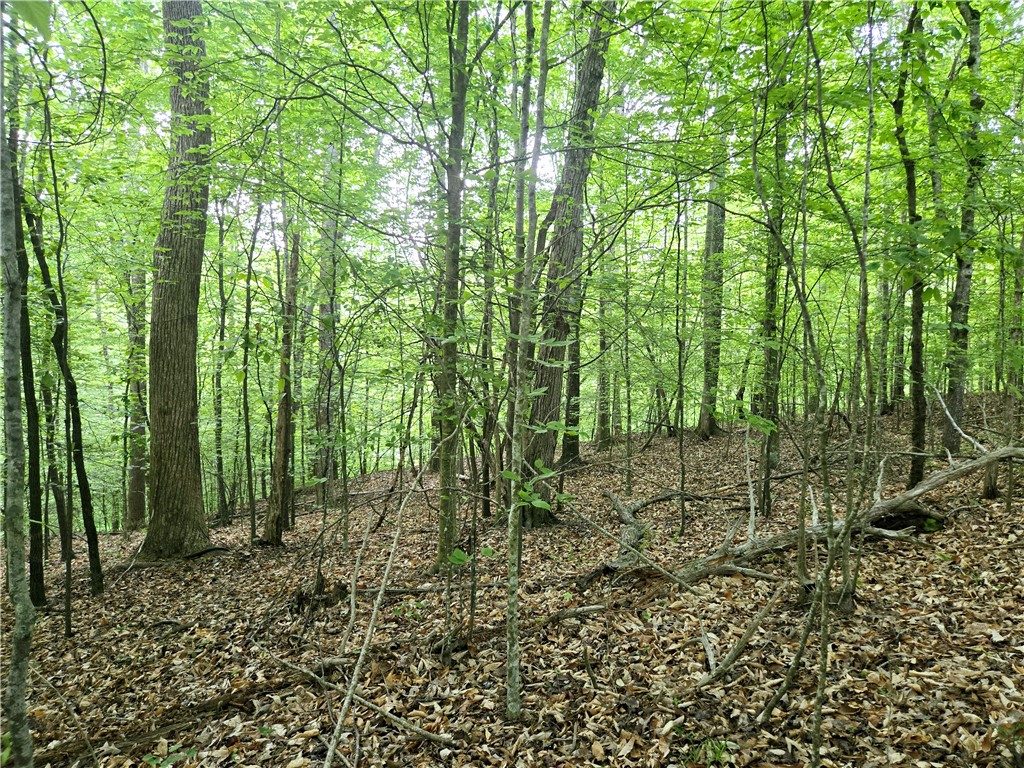 Lot #435 Point Road, Westminster, South Carolina image 6