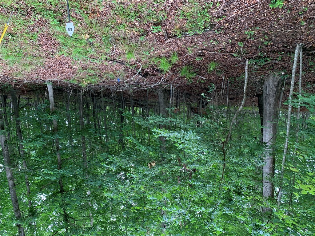 00 N Foxglove Road #LOT 88, Westminster, South Carolina image 1