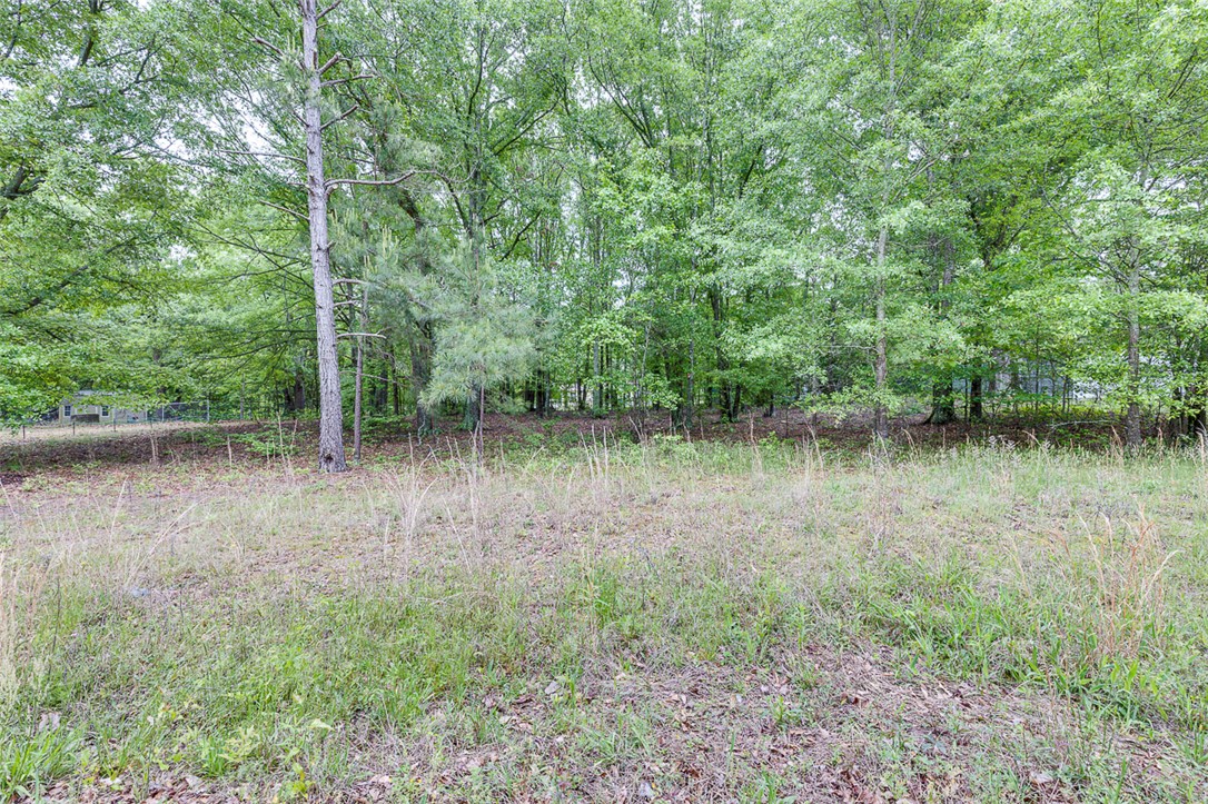 312 Harris Avenue, Belton, South Carolina image 48