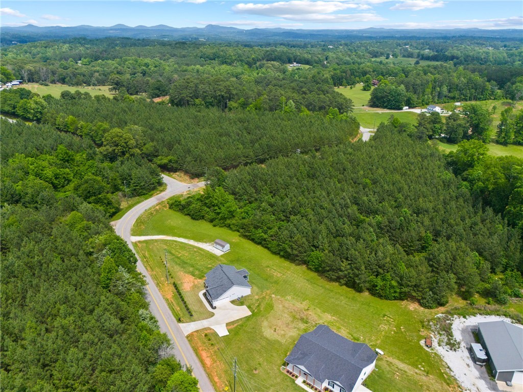 723 Mile Creek Road, Pickens, South Carolina image 37