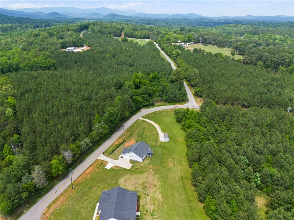 723 Mile Creek Road, Pickens, South Carolina image 38