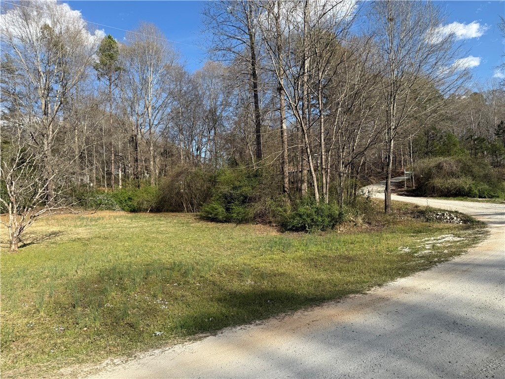 100 Davis Hill Road, Walhalla, South Carolina image 4