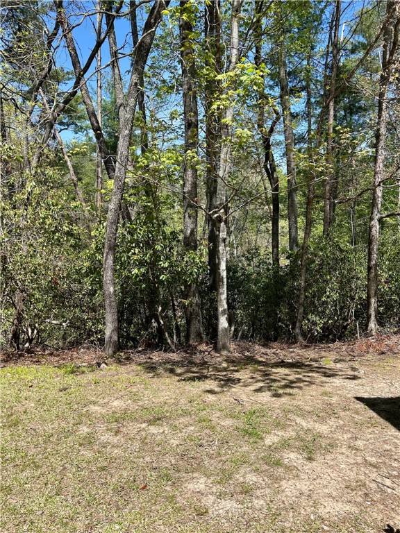 107 Brendart Hill Road, Sunset, South Carolina image 41