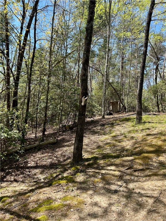 107 Brendart Hill Road, Sunset, South Carolina image 42