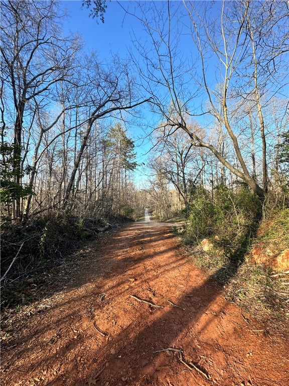 4551 West Silver Lake Drive, Taylors, South Carolina image 15