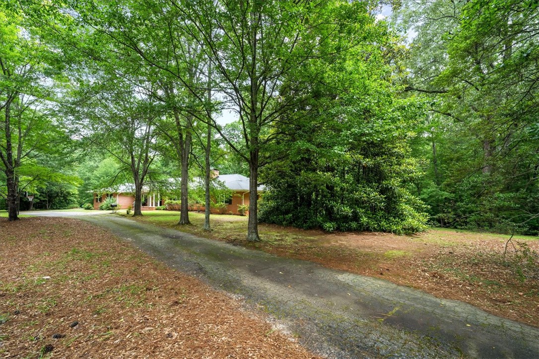 210 Playground Road, Walhalla, South Carolina image 3