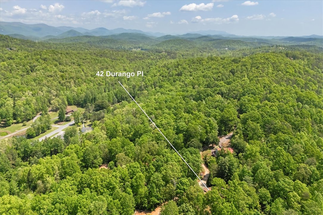 42 Durango Place, Cleveland, South Carolina image 45
