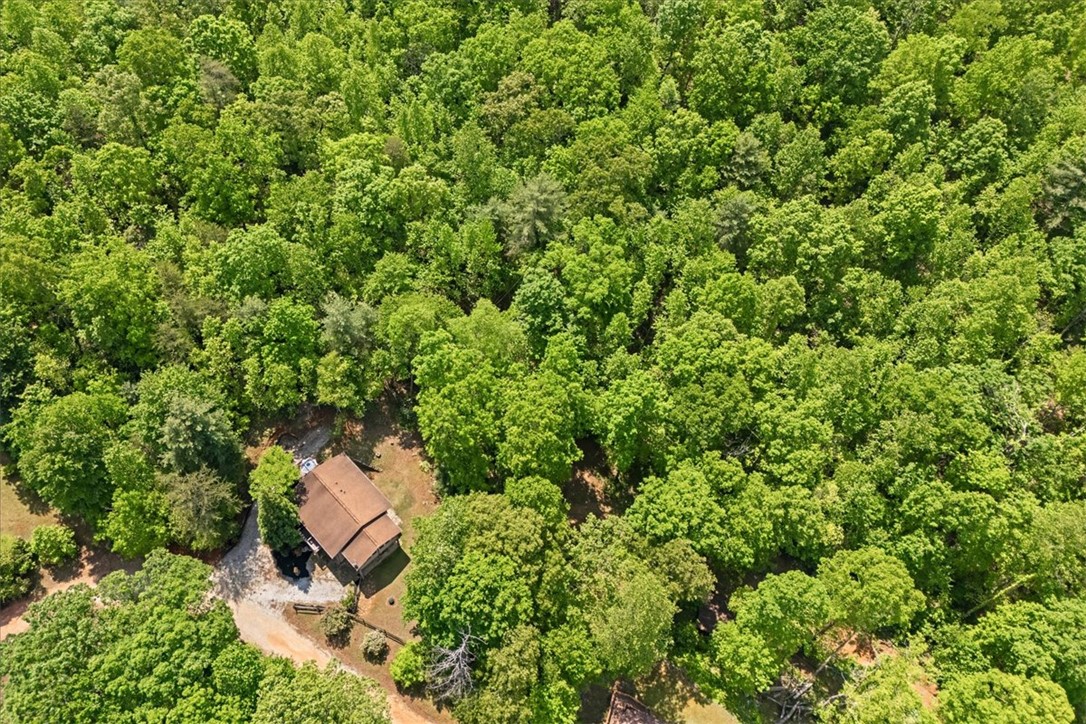 42 Durango Place, Cleveland, South Carolina image 48