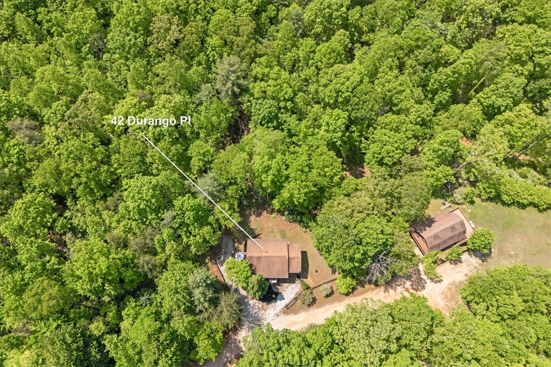 42 Durango Place, Cleveland, South Carolina image 50