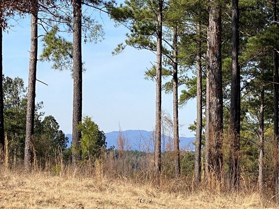 Highlands Ridge Road, Salem, South Carolina image 5