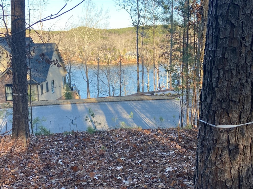 335 Long Cove Trail, Salem, South Carolina image 9