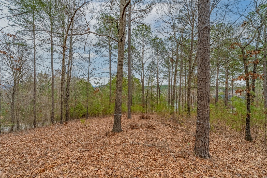 335 Long Cove Trail, Salem, South Carolina image 8