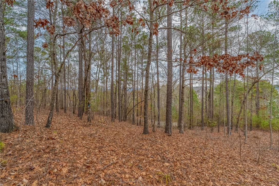 335 Long Cove Trail, Salem, South Carolina image 7